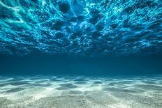 Ocean Bottom, View Beneath Surface-Cico-Photographic Print