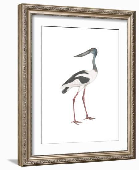 Ciconia-Maria Mendez-Framed Giclee Print