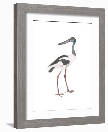 Ciconia-Maria Mendez-Framed Giclee Print