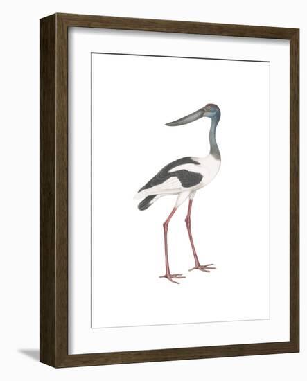 Ciconia-Maria Mendez-Framed Giclee Print