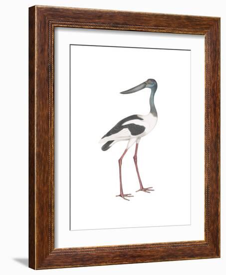 Ciconia-Maria Mendez-Framed Giclee Print