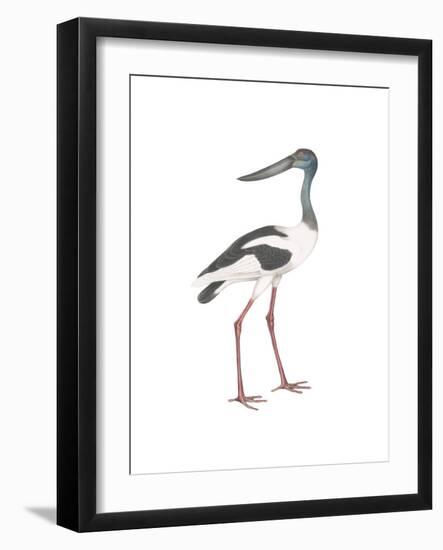 Ciconia-Maria Mendez-Framed Giclee Print