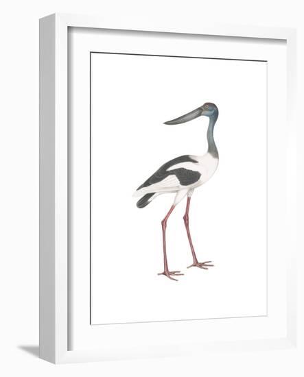 Ciconia-Maria Mendez-Framed Giclee Print