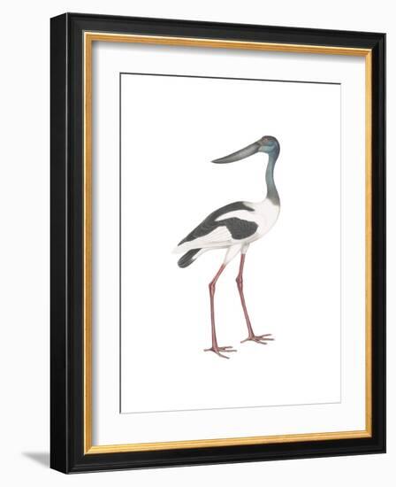 Ciconia-Maria Mendez-Framed Giclee Print