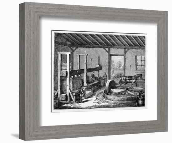 Cider Production, 19th Century-CCI Archives-Framed Photographic Print