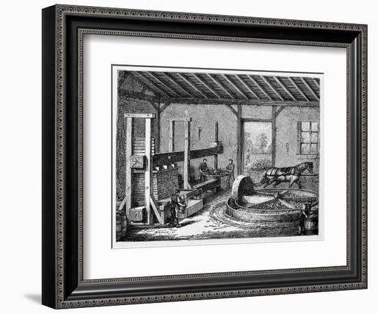 Cider Production, 19th Century-CCI Archives-Framed Photographic Print