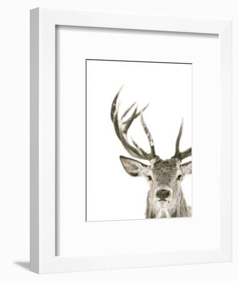 Ciervo 1-THE Studio-Framed Giclee Print