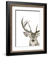 Ciervo 1-THE Studio-Framed Giclee Print