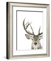 Ciervo 1-THE Studio-Framed Giclee Print
