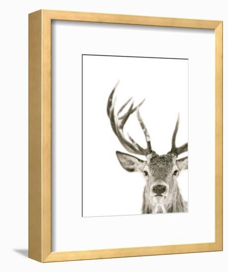 Ciervo 1-THE Studio-Framed Giclee Print