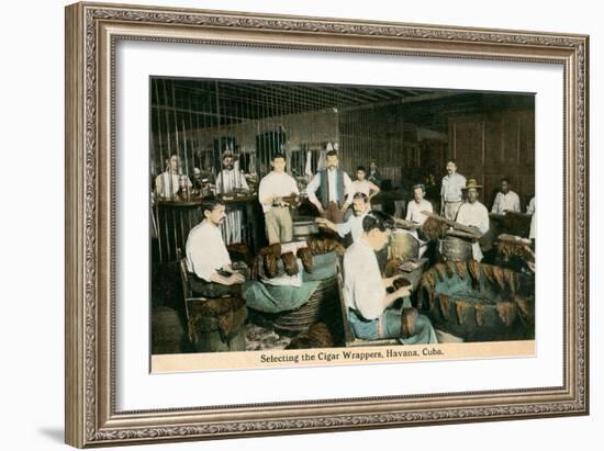 Cigar Wrappers, Havana, Cuba-null-Framed Art Print