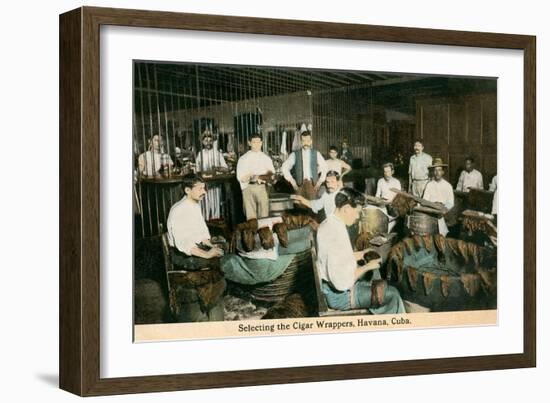 Cigar Wrappers, Havana, Cuba-null-Framed Art Print