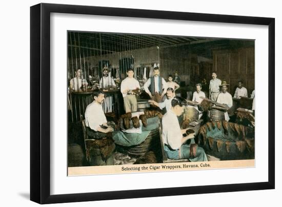 Cigar Wrappers, Havana, Cuba-null-Framed Art Print