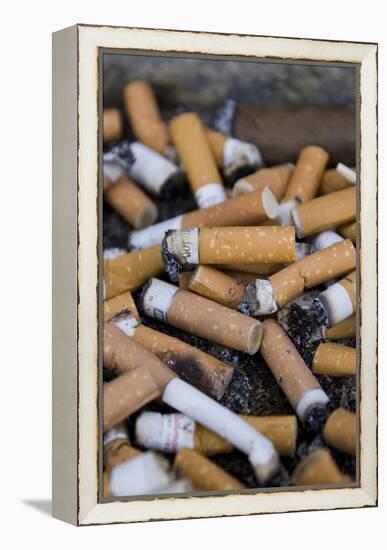 Cigarette Ends-Mark Williamson-Framed Premier Image Canvas