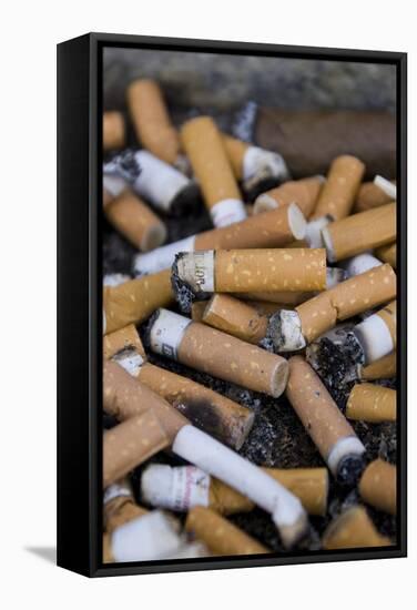 Cigarette Ends-Mark Williamson-Framed Premier Image Canvas