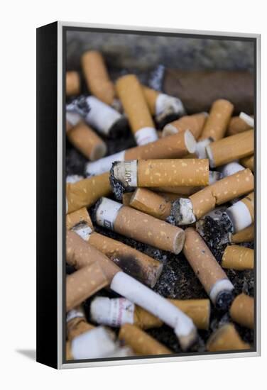 Cigarette Ends-Mark Williamson-Framed Premier Image Canvas