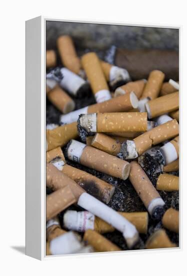 Cigarette Ends-Mark Williamson-Framed Premier Image Canvas