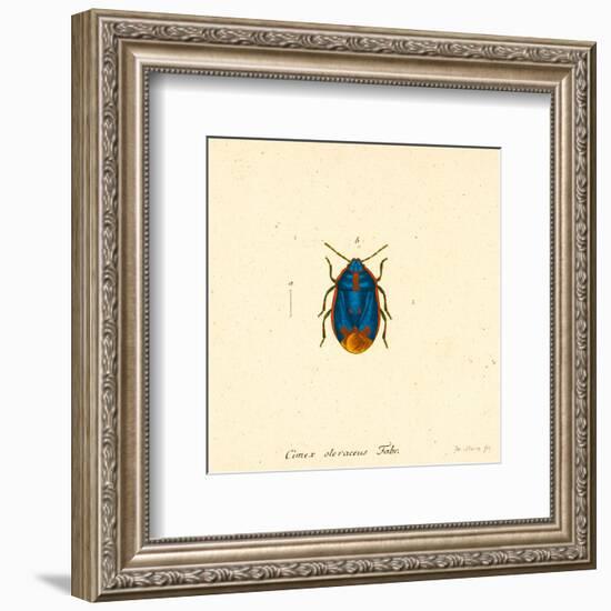 Cimex Oleraceus-A^ Poiteau-Framed Art Print