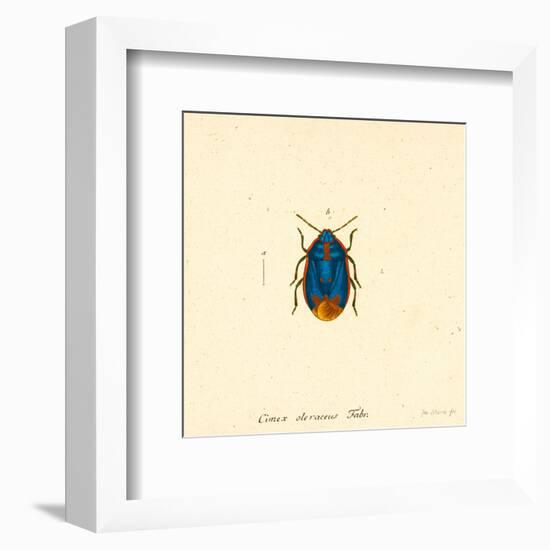 Cimex Oleraceus-A^ Poiteau-Framed Art Print