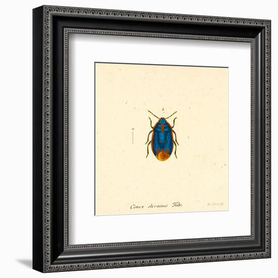 Cimex Oleraceus-A^ Poiteau-Framed Art Print