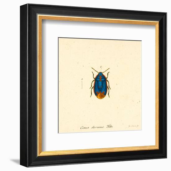 Cimex Oleraceus-A^ Poiteau-Framed Art Print