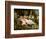 Cimon and Iphigenia, 1617-Peter Paul Rubens-Framed Giclee Print