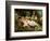 Cimon and Iphigenia, 1617-Peter Paul Rubens-Framed Giclee Print