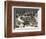 Cincinnati Bengals Paul Brown Stadium Sports-Brad Geller-Framed Art Print