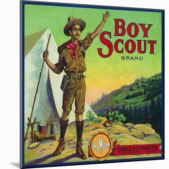 Cincinnati, Ohio, Boy Scout Brand Citrus Label-Lantern Press-Mounted Art Print