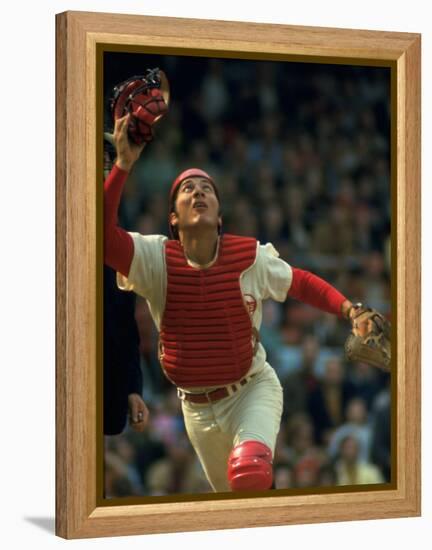 Cincinnati Reds Catcher Johnny Bench Catching Pop Fly During Game Against San Francisco Giants-John Dominis-Framed Premier Image Canvas