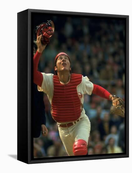 Cincinnati Reds Catcher Johnny Bench Catching Pop Fly During Game Against San Francisco Giants-John Dominis-Framed Premier Image Canvas