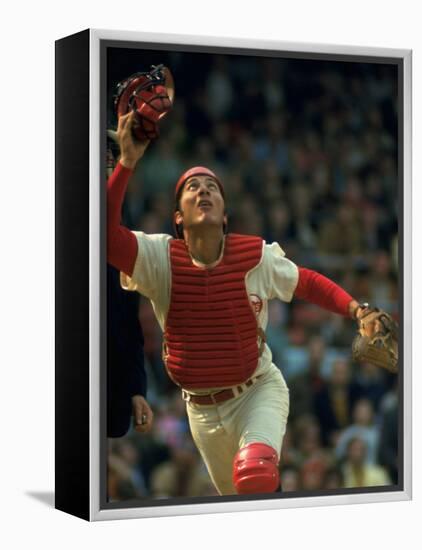 Cincinnati Reds Catcher Johnny Bench Catching Pop Fly During Game Against San Francisco Giants-John Dominis-Framed Premier Image Canvas