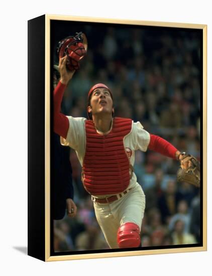 Cincinnati Reds Catcher Johnny Bench Catching Pop Fly During Game Against San Francisco Giants-John Dominis-Framed Premier Image Canvas