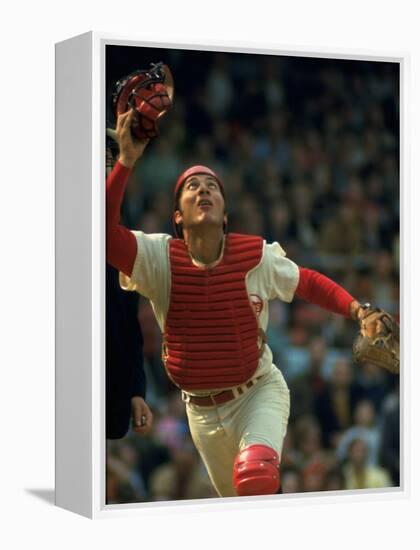 Cincinnati Reds Catcher Johnny Bench Catching Pop Fly During Game Against San Francisco Giants-John Dominis-Framed Premier Image Canvas