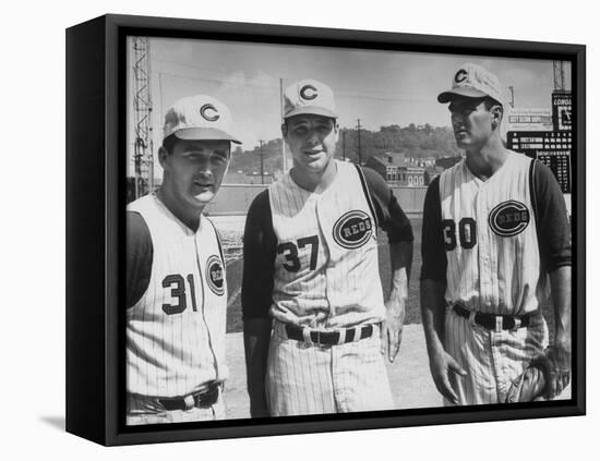 Cincinnati Reds-null-Framed Premier Image Canvas