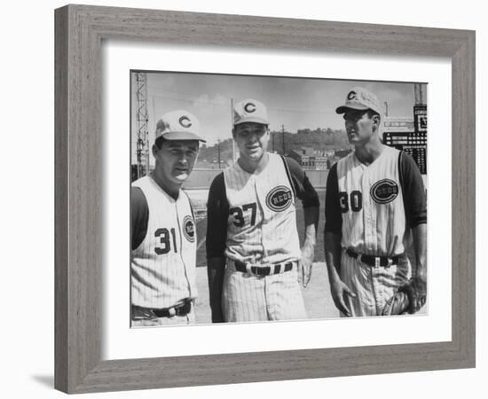 Cincinnati Reds-null-Framed Photographic Print