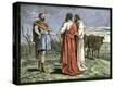 Stretched Canvas Print
