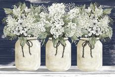White Floral Trio-CIndy Jacobs-Framed Art Print