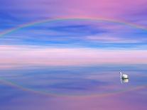 Rainbow Reflecting over Swan-Cindy Kassab-Photographic Print