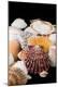Premium Photographic Print