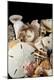 Premium Photographic Print
