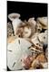 Premium Photographic Print