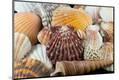 Premium Photographic Print