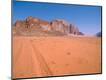 Photographic Print