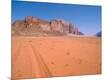Photographic Print