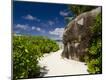 Photographic Print