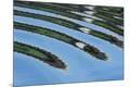 Premium Photographic Print