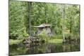 Photographic Print