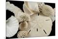 Premium Photographic Print