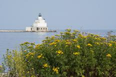 USA, Michigan, Great Lakes, Lake Michigan, White Shoal Lighthouse.-Cindy Miller Hopkins-Framed Photographic Print